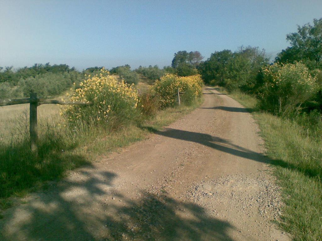 Podere Campovecchio Rapale Εξωτερικό φωτογραφία