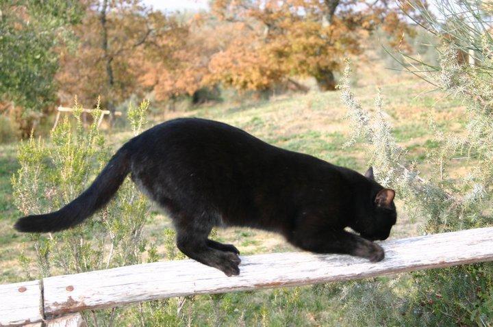 Podere Campovecchio Rapale Εξωτερικό φωτογραφία