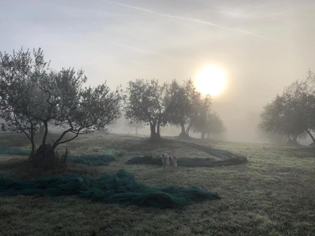 Podere Campovecchio Rapale Εξωτερικό φωτογραφία